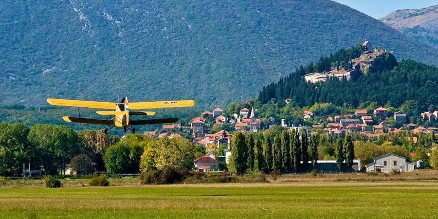 Lavanda - * Sinj